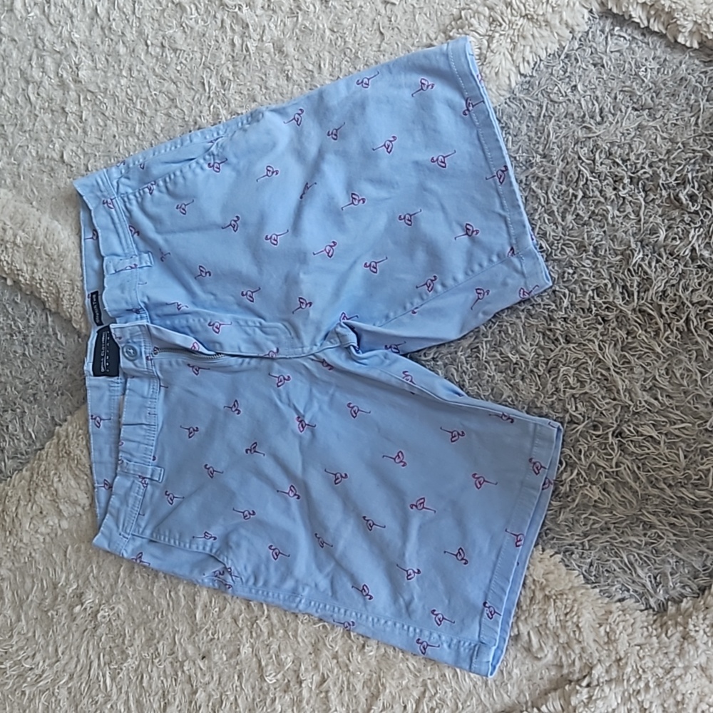 Drill Clothing Company Light Blue Flamingo Shorts - Size 34